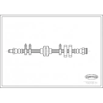 Flexible de frein CORTECO 19018131