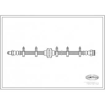 Flexible de frein CORTECO 19018152
