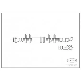 Flexible de frein CORTECO 19018580