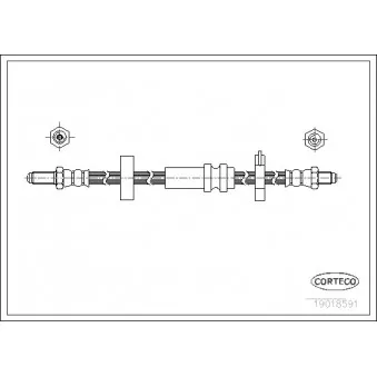 Flexible de frein CORTECO 19018591