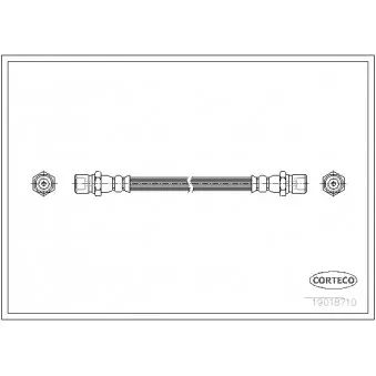 Flexible de frein CORTECO 19018710
