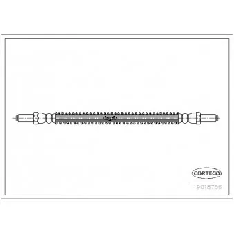 Flexible de frein CORTECO 19018756