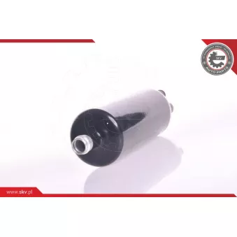 Pompe à carburant ESEN SKV 02SKV018