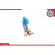 Pompe à carburant ESEN SKV 02SKV019 - Visuel 1