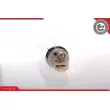 Pompe à carburant ESEN SKV 02SKV201 - Visuel 2