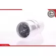 Pompe à carburant ESEN SKV 02SKV202 - Visuel 1