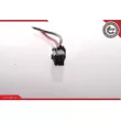 Pompe à carburant ESEN SKV 02SKV205 - Visuel 1