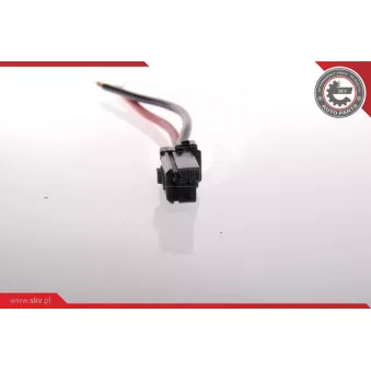 Pompe à carburant ESEN SKV 02SKV205