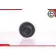 Pompe à carburant ESEN SKV 02SKV210 - Visuel 1