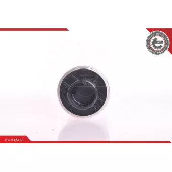 Pompe à carburant ESEN SKV 02SKV210