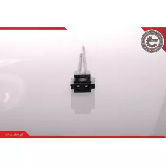 Pompe à carburant ESEN SKV 02SKV212