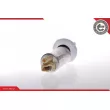 Pompe à carburant ESEN SKV 02SKV225 - Visuel 1