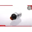 Pompe à carburant ESEN SKV 02SKV230 - Visuel 3