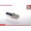 Pompe à carburant ESEN SKV 02SKV237 - Visuel 1