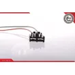 Pompe à carburant ESEN SKV 02SKV241 - Visuel 3