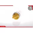 Pompe à carburant ESEN SKV 02SKV243 - Visuel 3