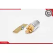 Pompe à carburant ESEN SKV 02SKV268 - Visuel 2