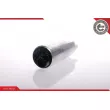 Pompe à carburant ESEN SKV 02SKV275 - Visuel 3