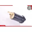 Pompe à carburant ESEN SKV 02SKV276 - Visuel 3