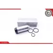 Pompe à carburant ESEN SKV 02SKV294 - Visuel 1