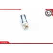 Pompe à carburant ESEN SKV 02SKV296 - Visuel 3