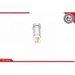 Pompe à carburant ESEN SKV 02SKV297 - Visuel 2
