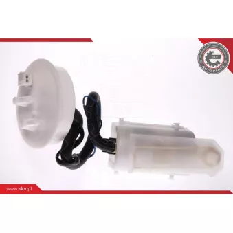 Unité d'injection de carburant ESEN SKV 02SKV700