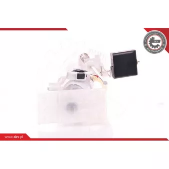Unité d'injection de carburant ESEN SKV 02SKV701