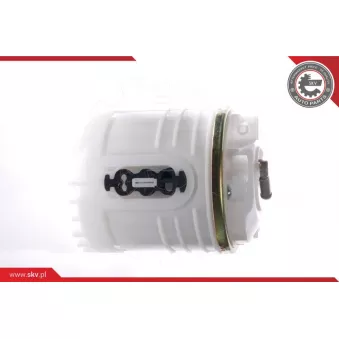 Unité d'injection de carburant ESEN SKV 02SKV704