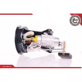 Unité d'injection de carburant ESEN SKV 02SKV705