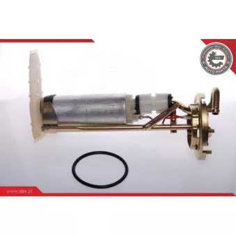 Unité d'injection de carburant ESEN SKV 02SKV706