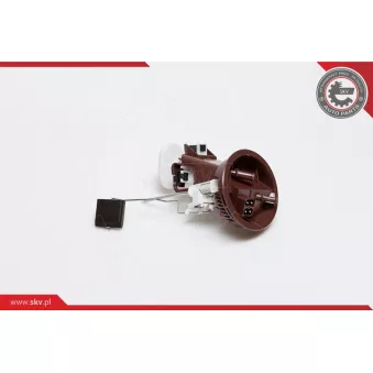 Unité d'injection de carburant ESEN SKV 02SKV709