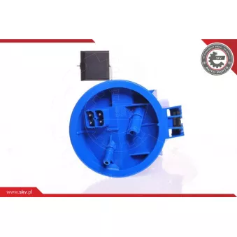 Unité d'injection de carburant ESEN SKV 02SKV710