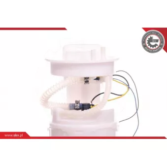 Unité d'injection de carburant ESEN SKV 02SKV711