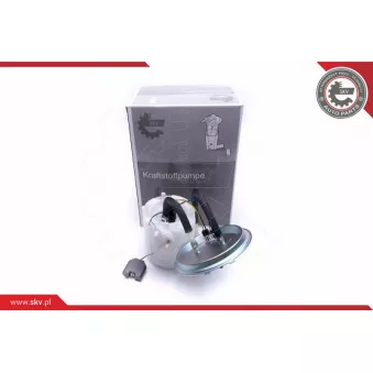 Unité d'injection de carburant ESEN SKV 02SKV713