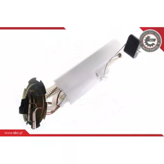 Unité d'injection de carburant ESEN SKV 02SKV718