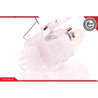 Unité d'injection de carburant ESEN SKV 02SKV720