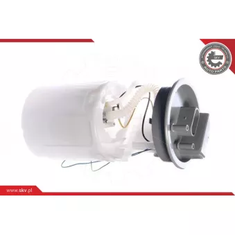 Unité d'injection de carburant ESEN SKV 02SKV721