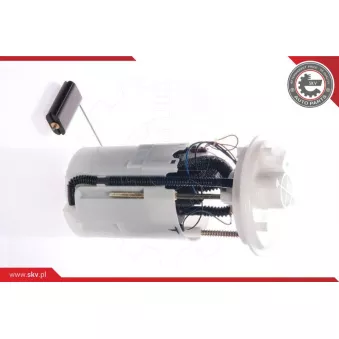 Unité d'injection de carburant ESEN SKV 02SKV722