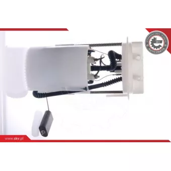 Unité d'injection de carburant ESEN SKV 02SKV725