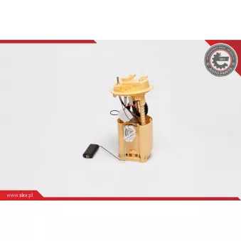 Unité d'injection de carburant ESEN SKV 02SKV728