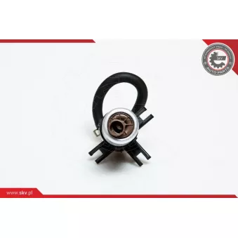 Unité d'injection de carburant ESEN SKV 02SKV729