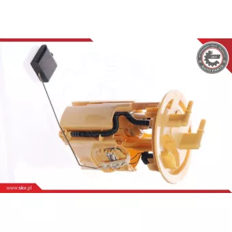 Unité d'injection de carburant ESEN SKV 02SKV731