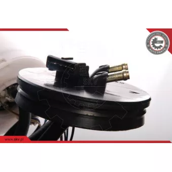 Unité d'injection de carburant ESEN SKV 02SKV733
