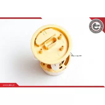 Unité d'injection de carburant ESEN SKV 02SKV737