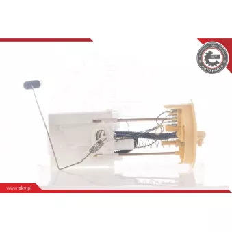 Unité d'injection de carburant ESEN SKV 02SKV739