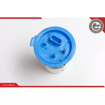 Unité d'injection de carburant ESEN SKV 02SKV740