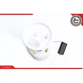 Unité d'injection de carburant ESEN SKV 02SKV741