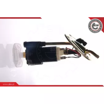 Unité d'injection de carburant ESEN SKV 02SKV742