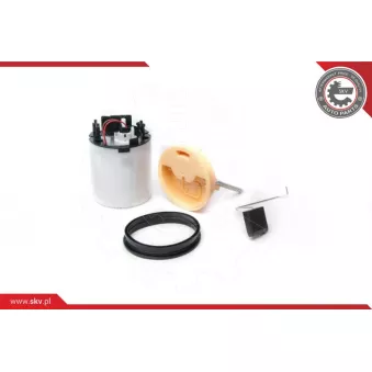 Unité d'injection de carburant ESEN SKV 02SKV749